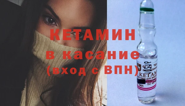 шишки Аркадак