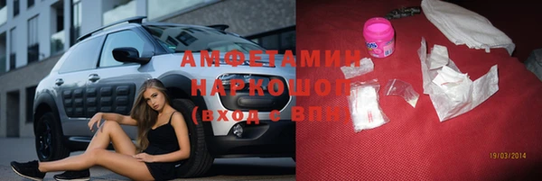 шишки Аркадак