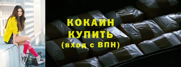 шишки Аркадак