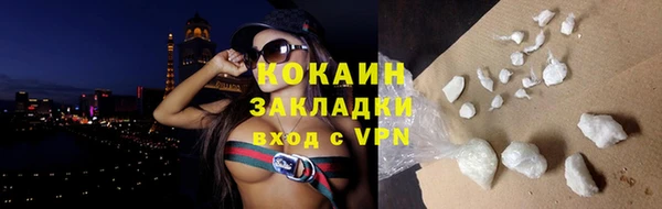 шишки Аркадак