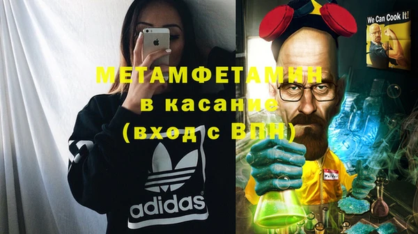 шишки Аркадак