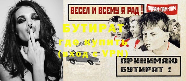шишки Аркадак