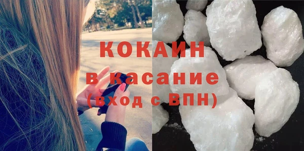 шишки Аркадак