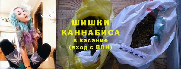 шишки Аркадак