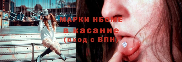 шишки Аркадак