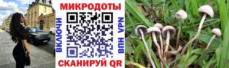 Галлюциногенные грибы ЛСД  Сясьстрой 